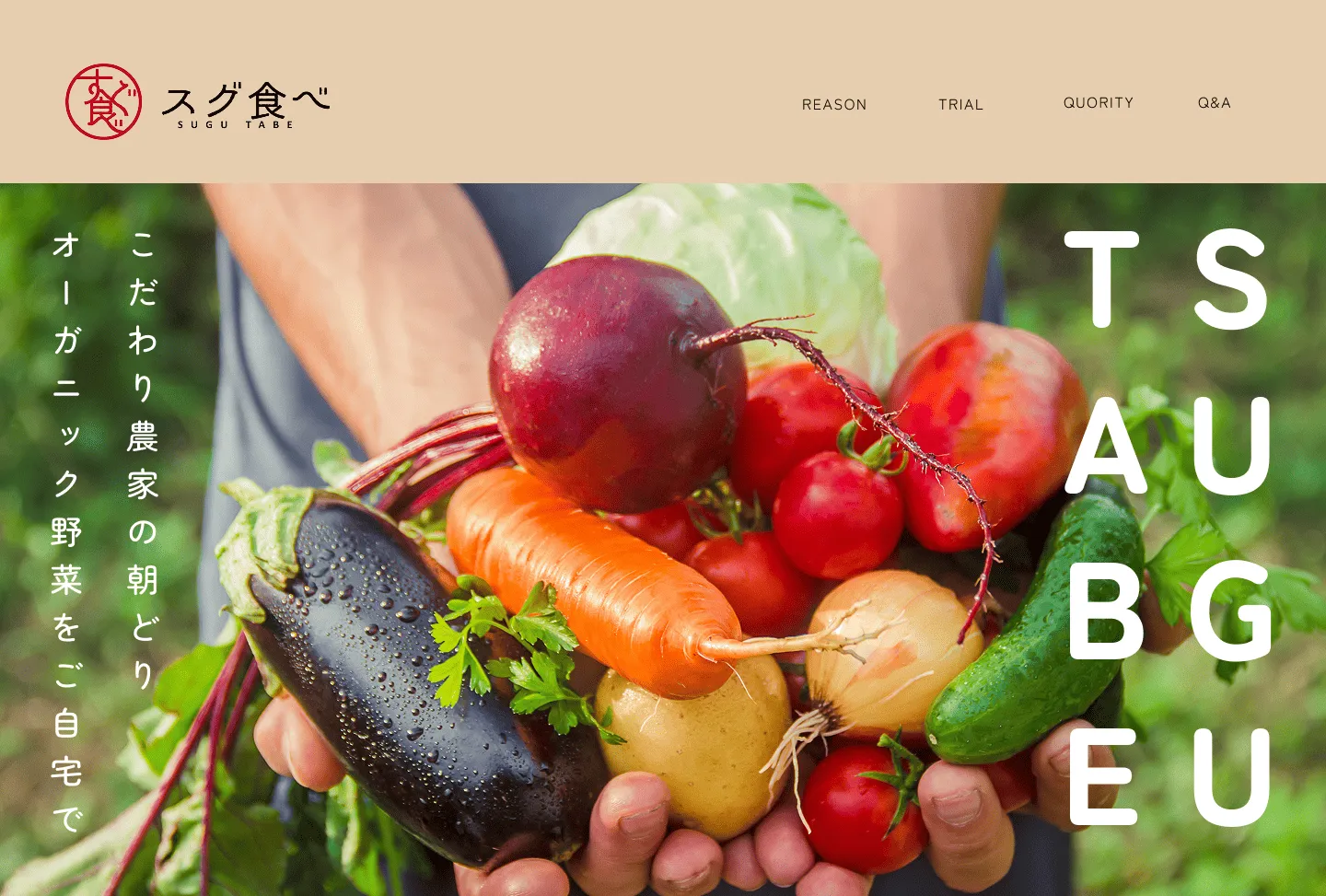 有機野菜直送配達サービス「スグ食べ」LP PC画像（ヘッダー・FV）