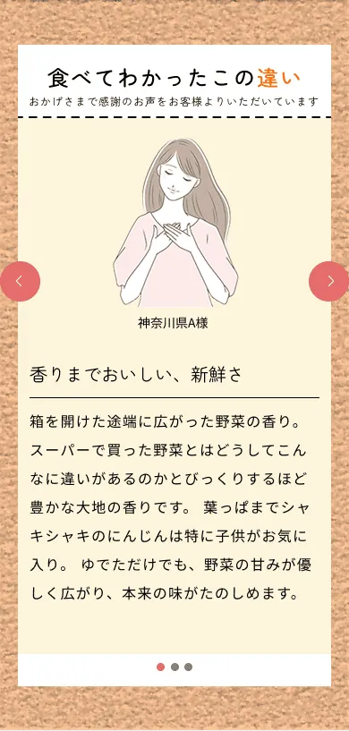 有機野菜直送配達サービス「スグ食べ」LP PC画像（お客様の声）